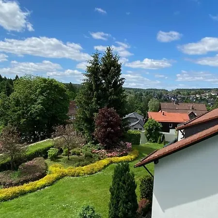 Apartment Bergchalet 3 Mit Balkon Braunlage